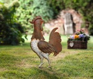 Gazonsteker haan 37x51 cm, Tuin en Terras, Verzenden, Nieuw