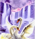 De kristallen vogels deel 2: de klauwen van de adelaar /, Verzenden, Gelezen, Lene Kaaberbøl