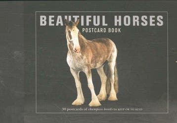 Beautiful Horses Postcard Book - Liz Wright 9781782402497, Verzenden, Gelezen, Liz Wright