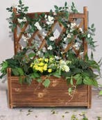 Houten Plantenbak met Klimrek: Ideaal voor Groene Tuinen Pat, Verzenden, Nieuw