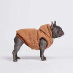 Hondenjas Teddy bruin (Jassen, Hondenkleding), Ophalen of Verzenden, Nieuw, Hondenjas