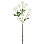 Pom Pom Ivory 61 cm per stuk, Ophalen of Verzenden, Nieuw