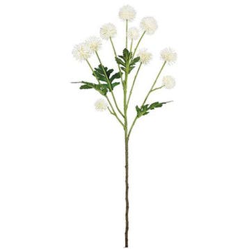 Pom Pom Ivory 61 cm per stuk, Ophalen of Verzenden, Nieuw