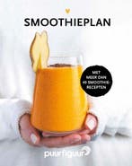 Het Smoothieplan 9789090346953 Ilse de Groot, Boeken, Verzenden, Zo goed als nieuw, Ilse de Groot