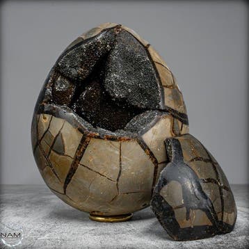 Zeer decoratieve septarian Ei, met calcietkristallen-
