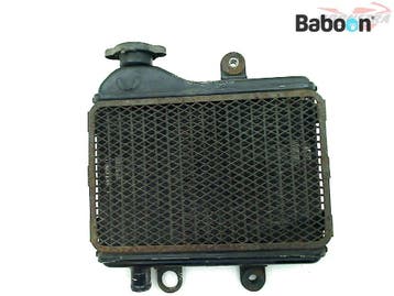 Radiateur Kawasaki AR 125 1988-1991 (AR125), Verzenden, Gebruikt