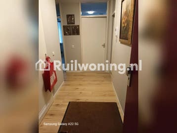 Fijn appartement in Rotterdam gezocht! (Driebruggen)