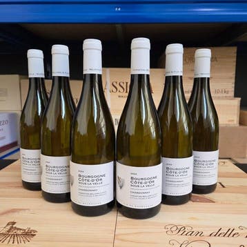 2024 Christian Bellang & Fils Sous La Velle - Bourgogne, Nieuw