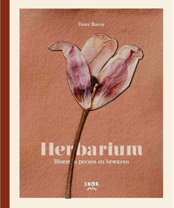 Herbarium | Daisy Ranoe | Nieuw, Boeken, Ophalen of Verzenden, Nieuw, Daisy Ranoe