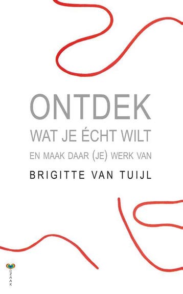Ontdek wat je écht wilt en maak daar (je) werk van, Verzenden, Gelezen, B. van Tuijl