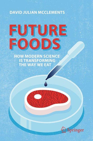 Future Foods - David Julian Mcclements 9783030129941, Boeken, Verzenden, Gelezen, David Julian Mcclements