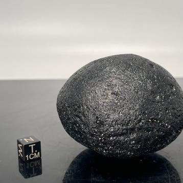 RIZALITA Glass Tektite XXL - 331 g, Verzamelen