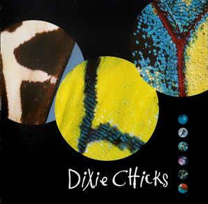 cd - Dixie Chicks - Fly, Cd's en Dvd's, Cd's | Overige Cd's, Zo goed als nieuw, Verzenden