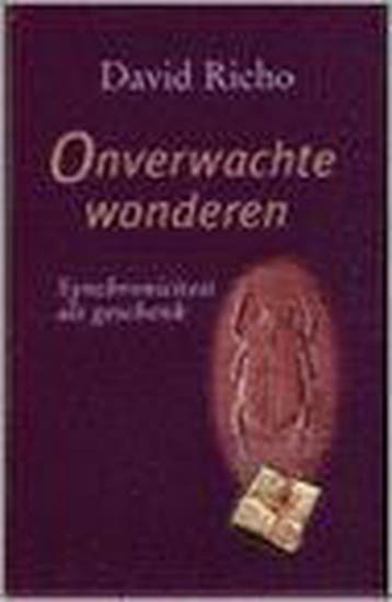 ONVERWACHTE WONDEREN - D. Richo 9789020260076, Boeken, Esoterie en Spiritualiteit, Verzenden, Zo goed als nieuw, D. Richo