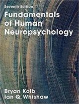 Fundamentals of Human Neuropsychology 9781319154042, Boeken, Studieboeken en Cursussen, Zo goed als nieuw