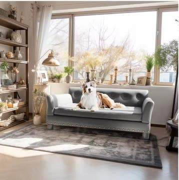 Verhoogde Hondenbank – Luxe Microfiber Leren Hondenbed, Verzenden, Nieuw