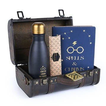Harry Potter Gift Set Trouble Finds Me, Ophalen of Verzenden, Nieuw