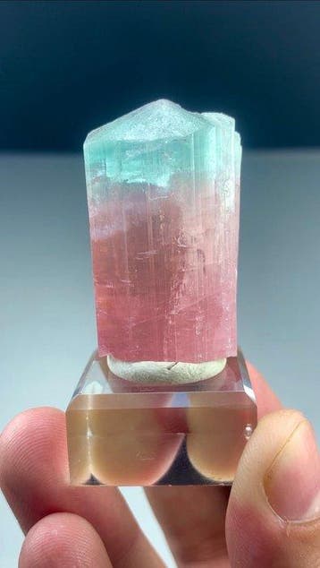 Bicolore tourmalijn Kristal - Hoogte: 40 mm - Breedte: 22