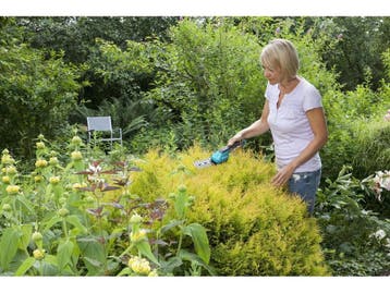 Grasschaar AccuCut Li display met buxusmes, Verzenden, Nieuw