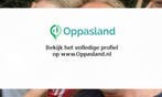 paul zoekt een oppas in Dalfsen voor 2 kinderen op zaterd..., Vacatures