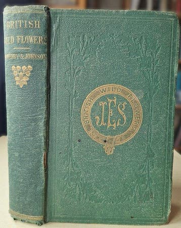 Sowerby and Johnson - British Wild Flowers Illustrated