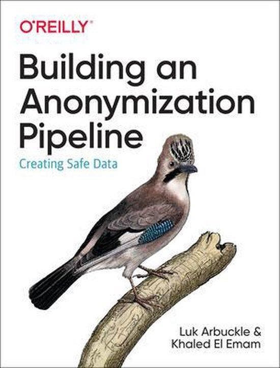 9781492053439 Building an Anonymization Pipeline Creating..., Boeken, Studieboeken en Cursussen, Nieuw, Verzenden