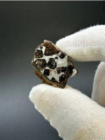 Sericho meteoriet Pallasiet - 13 g - (1)