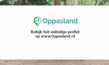 Micha zoekt een oppas in Zeist voor 3 kinderen.