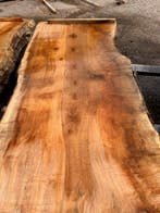 5X Boomstambladen, Esdoorn, complete partij 620,- REF 787B, Nieuw, Ophalen of Verzenden, 200 tot 250 cm, Plank