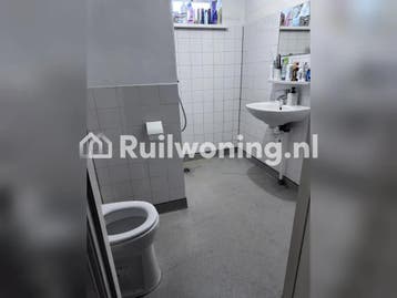 Leiden: 60 m² flat, 2 kamers, €740