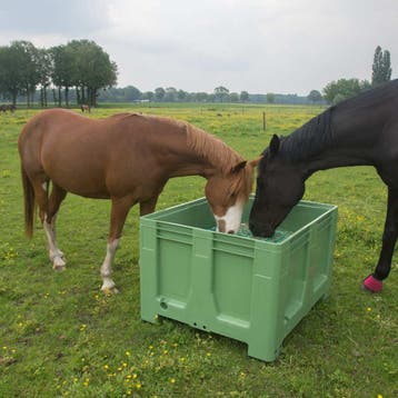 XXL Slowfeeder paard NU EXTRA GOEDKOOP bak incl. frame/net, Ophalen of Verzenden, Nieuw