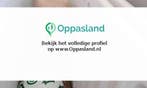 Wouter zoekt een oppas in Eelde voor 1 kind voor 4 dagen...