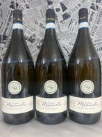 2024 Masciarelli “Trebbiano d’Abruzzo” - Abruzzo DOC - 3, Nieuw