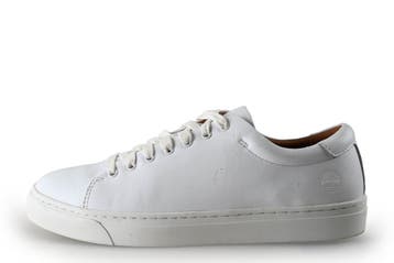 Timberland Sneakers in maat 42 Wit, Kleding | Heren, Schoenen, Verzenden, Sneakers of Gympen, Gedragen, Wit