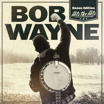 cd - Bob Wayne (2) - Hits The Hits, Verzenden, Zo goed als nieuw