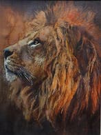 Davor Ivkovi (1965) - Lion