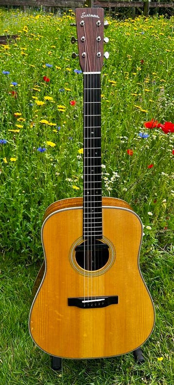 Eastman E20D (2016), Ophalen of Verzenden, Zo goed als nieuw, Western- of Steelstringgitaar, Met koffer