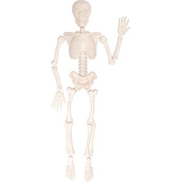 Eduplay zandvormen menselijk skelet van €22,99 voor €20,69, Ophalen of Verzenden, Nieuw