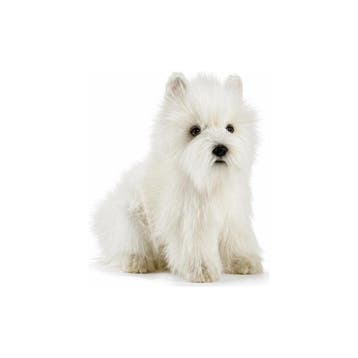 Hansa West Highland Terrier knuffel - pluche - 23 cm, Verzenden, Nieuw