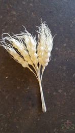 Gerst Foam Wit bundel ca. 10, Ophalen of Verzenden, Nieuw