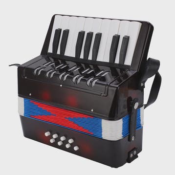 Compacte Zwarte Accordion met 17 Toetsen en 8 Bassen - Muzik, Muziek en Instrumenten, Accordeons, Verzenden, Nieuw