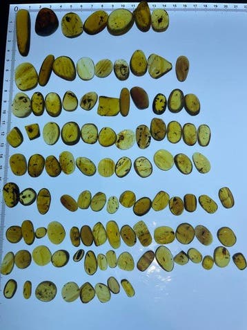 Barnsteen - 100 pieces of Burmese amber including