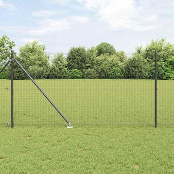 vidaXL gelast draadhek met grondpennen 50 x 1 m PVC-gecoate, Verzenden, Nieuw, IJzer