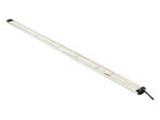 Apollo Falcon 115 LED Kweeklamp, Ophalen of Verzenden, Nieuw
