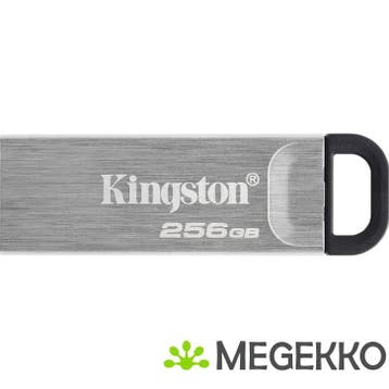 Kingston DataTraveler Kyson 256GB, Computers en Software, RAM geheugen, Verzenden, Nieuw