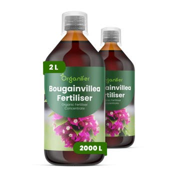 Vloeibare meststof voor bougainvillea - 2x1 liter, Tuin en Terras, Verzenden, Mest