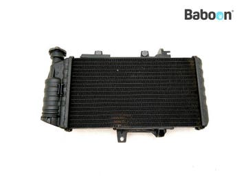 Radiateur BMW F 650 GS 2006-2011 (F650GS K72) (7678284), Motoren, Verzenden, Gebruikt
