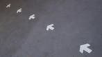 Pijl  -  Anti slip - Blauw - Anti - slip - Polyvinylchloride, Verzenden