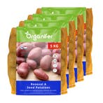 Pootaardappelen Roseval A 32/40 (20 kg), Verzenden, Gehele jaar, Volle zon