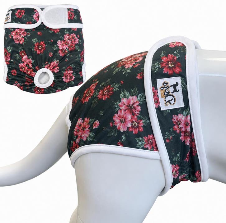 Loopsheidbroekje Botanic - Diverse maten (MedischLoopsheid), Dieren en Toebehoren, Hondenkleding, Hondenbroek, Nieuw, Ophalen of Verzenden